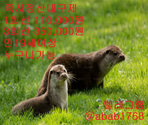 0b6f438cccdecdfaecd5c37713d0b89d_1766018651_2624.jpg